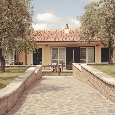 Agriturismo La Vite E Gli Ulivi Farm stay Ariccia