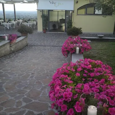 Farm stay Agriturismo La Vite E Gli Ulivi *